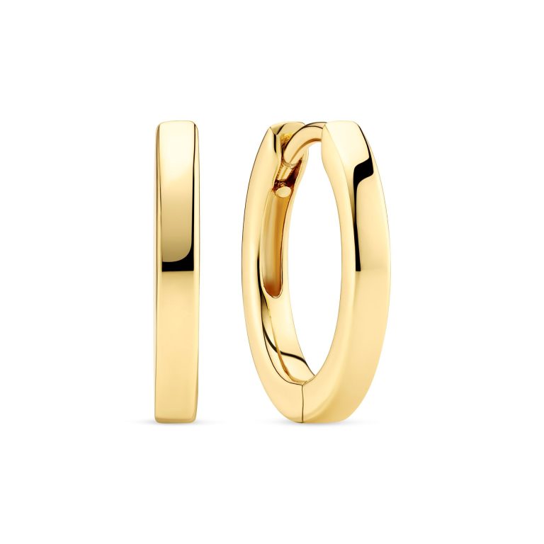 Polished gold pLated silver hoops earrings